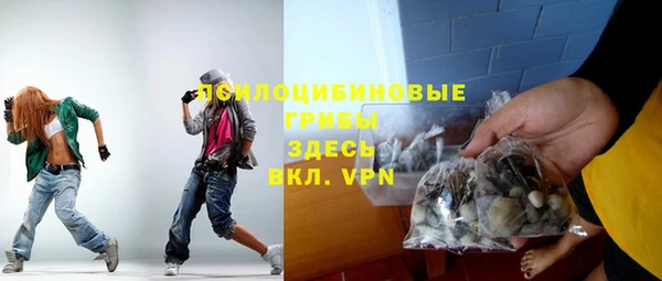 эйфоретик Бородино
