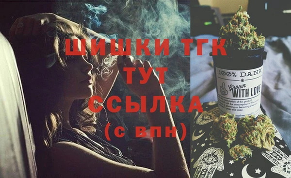 эйфоретик Бородино