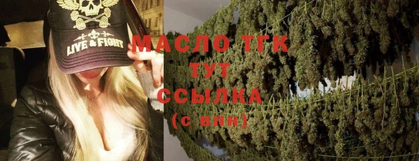 эйфоретик Бородино