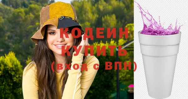 эйфоретик Бородино