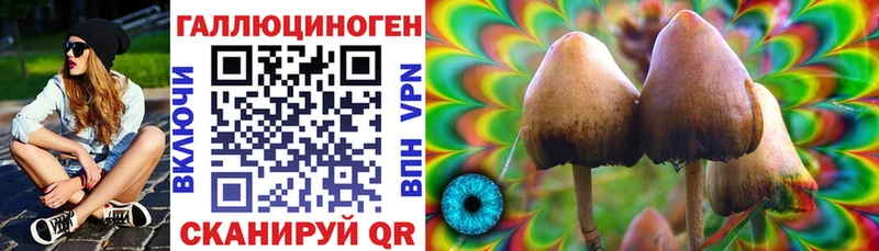 KRAKEN как войти  Яровое  Галлюциногенные грибы мухоморы 
